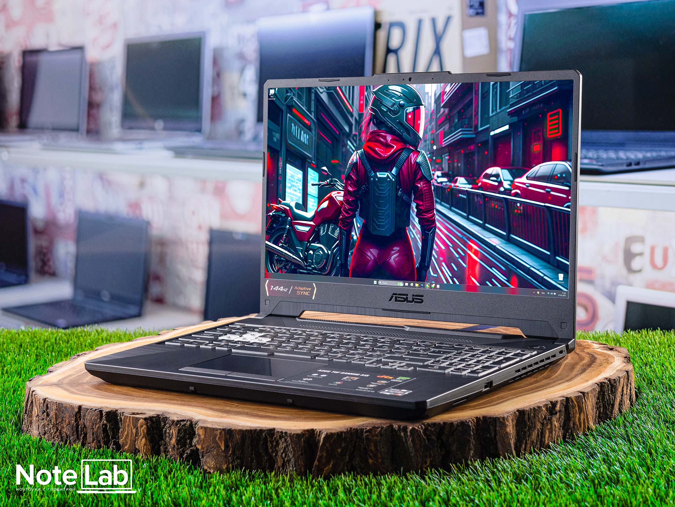 Ноутбук Asus TUF Gaming A15 FA506NF-HN042 ID00407