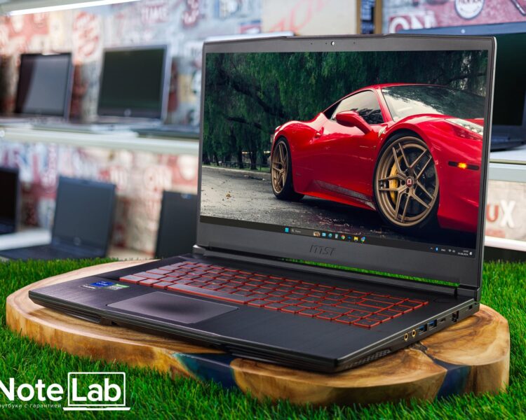 Ноутбук MSI GF65 Thin ID00229