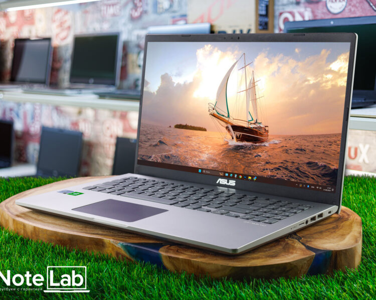 Ноутбук Asus X509FL-BQ034T ID00258