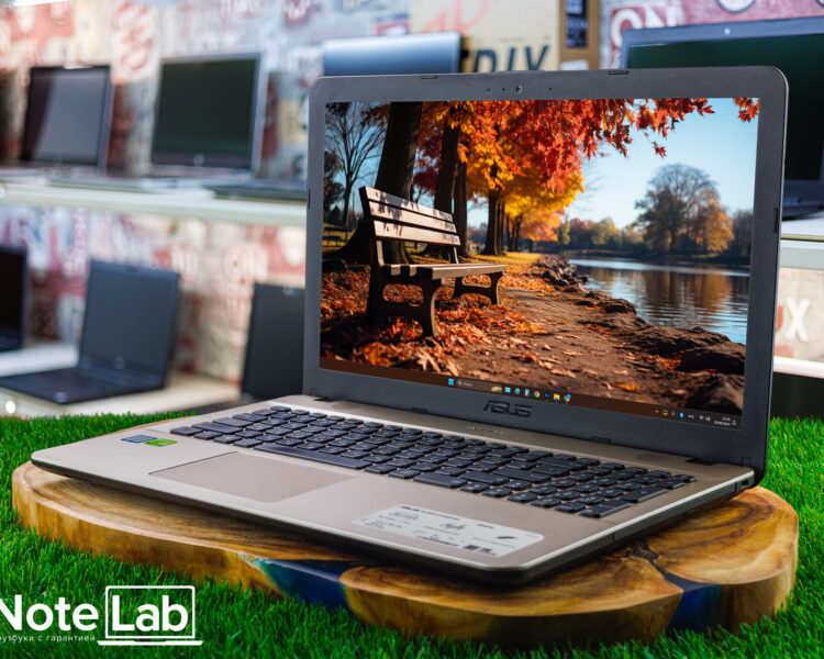 Ноутбук Asus VivoBook Max X541U ID00289