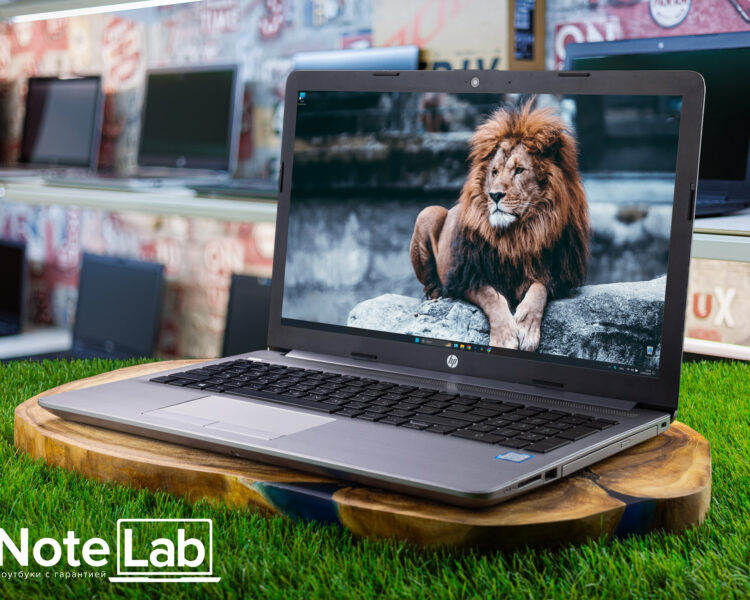 Ноутбук HP 250 G7 6EC67EA ID00255