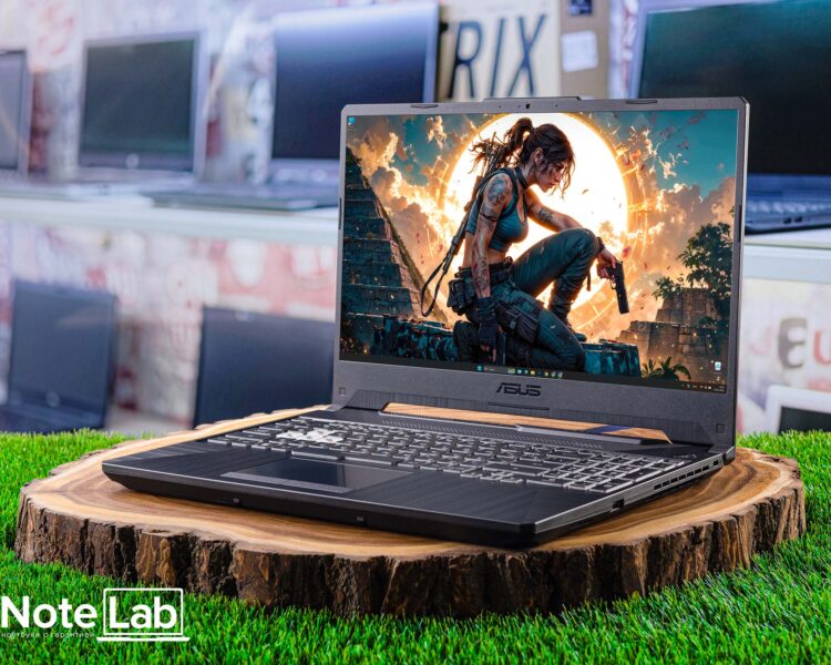 Игровой ноутбук ASUS TUF Gaming A15 FX506QM-HN053W ID00436