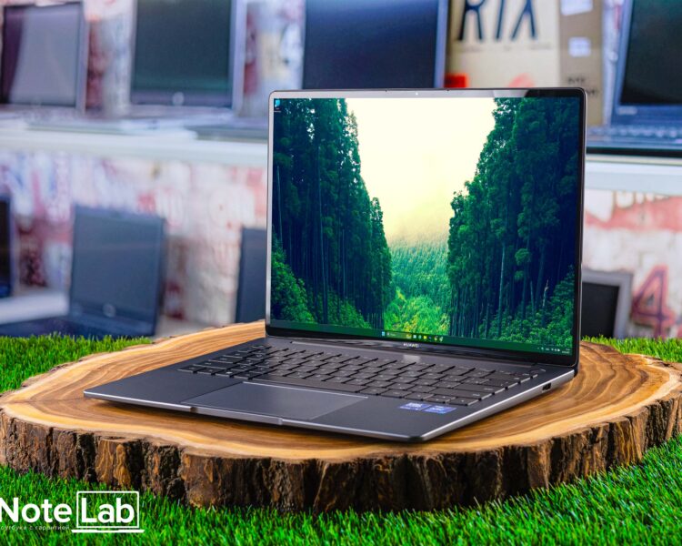 Ультрабук HUAWEI MateBook 14 FLMH-X ID00333