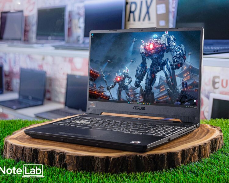 Игровой ноутбук Asus FX506IV-HN474 ID00361