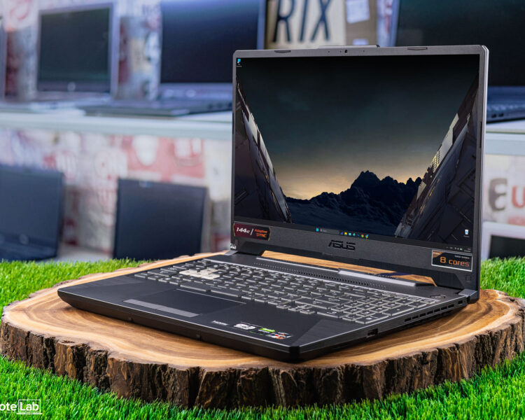 Asus TUF Gaming A15 FA506QM (FA506QM-5800)